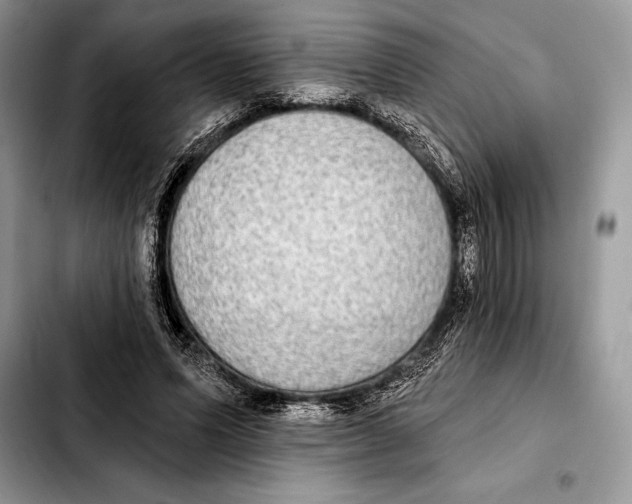 X0000103460591200810101152