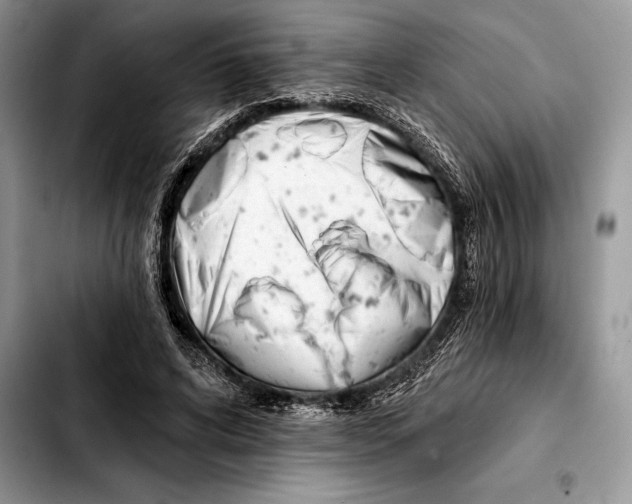 X0000103460592200810101152