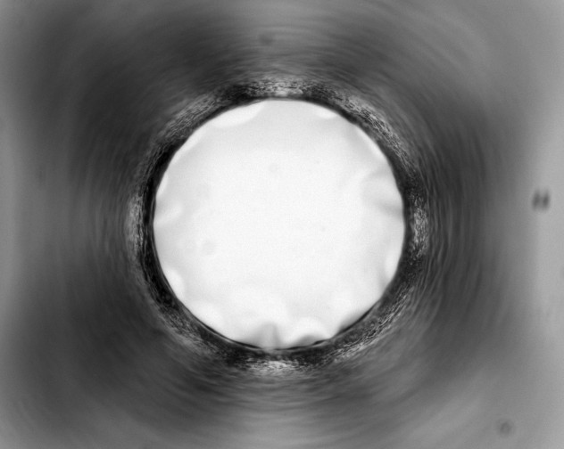 X0000103460594200810101152