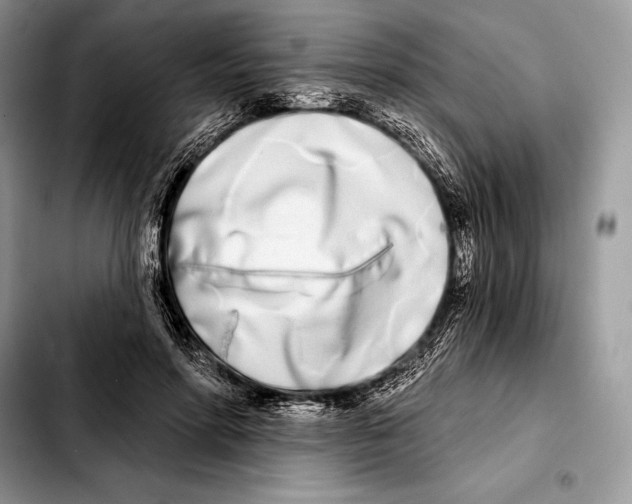 X0000103460598200810101152