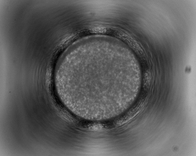 X0000103460600200810101152