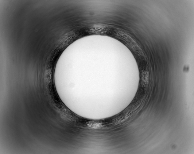 X0000103460602200810101152