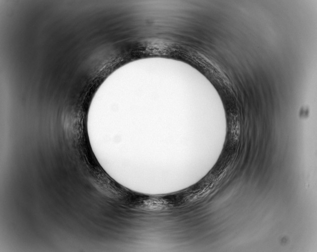 X0000103460603200810101152