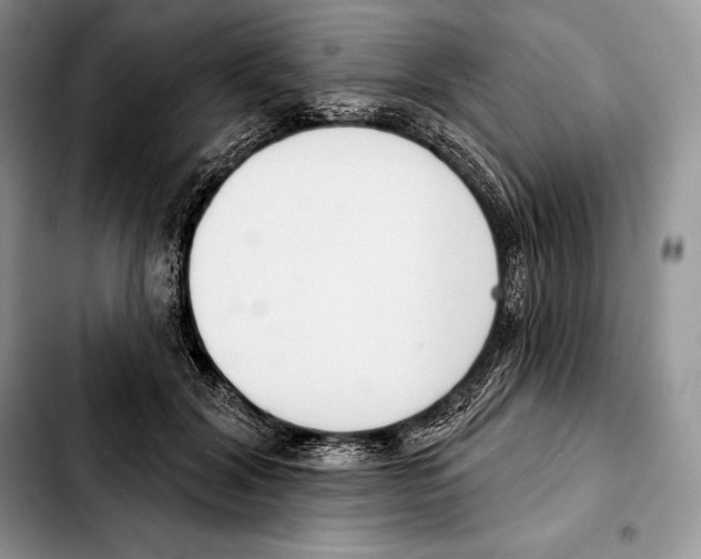 X0000103460604200810101152