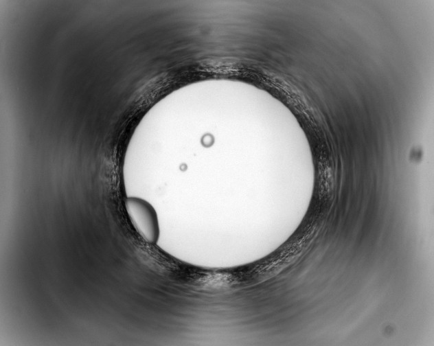 X0000103460609200810101152