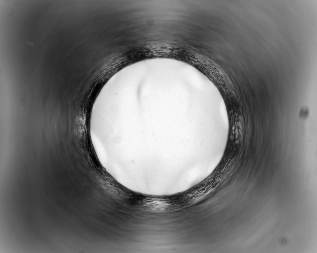 X0000103460610200810101152