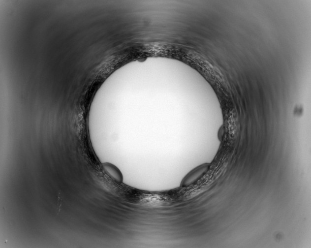X0000103460611200810101152
