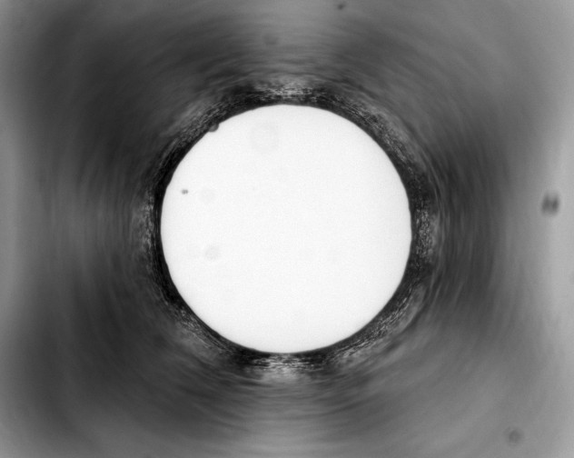 X0000103460612200810101152