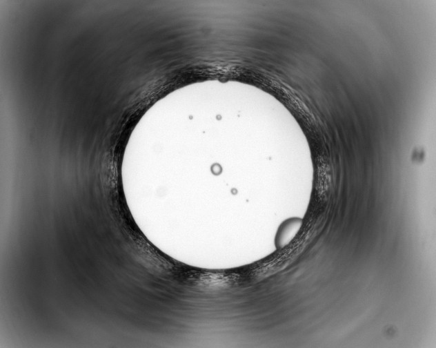 X0000103460613200810101152
