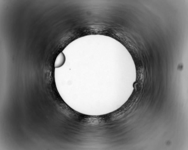 X0000103460615200810101152