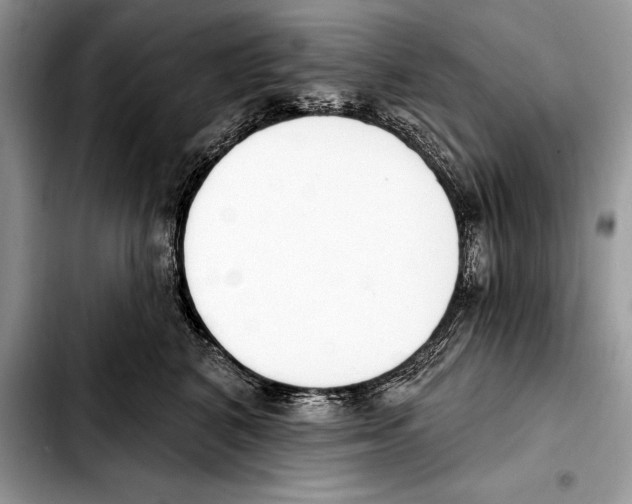 X0000103460616200810101152
