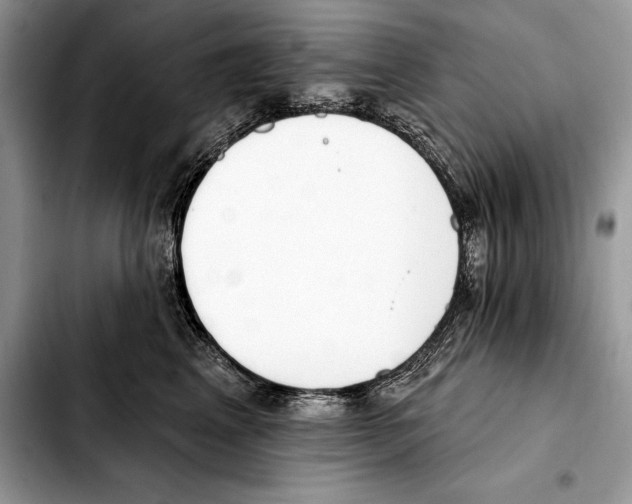 X0000103460617200810101152