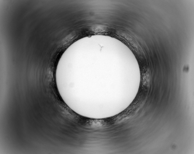 X0000103460618200810101152