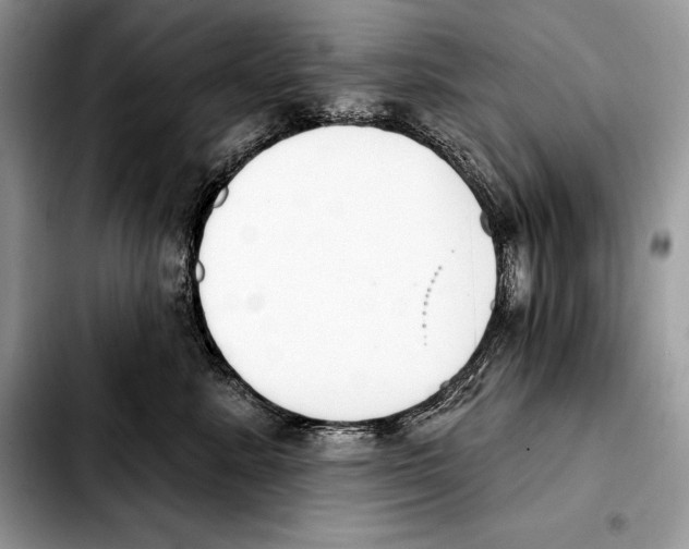 X0000103460619200810101152