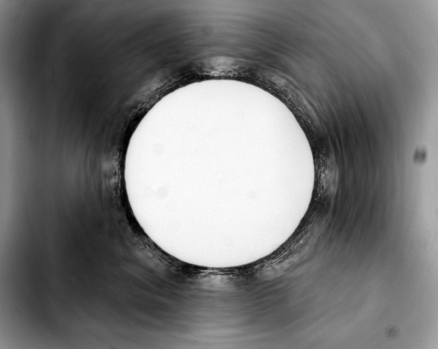 X0000103460620200810101152