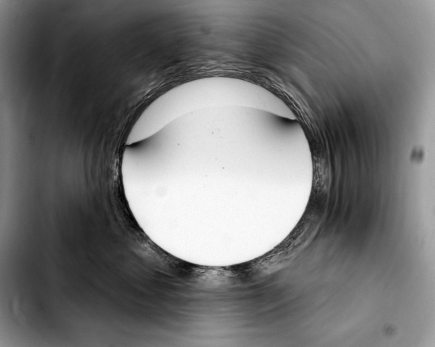 X0000103460621200810101152