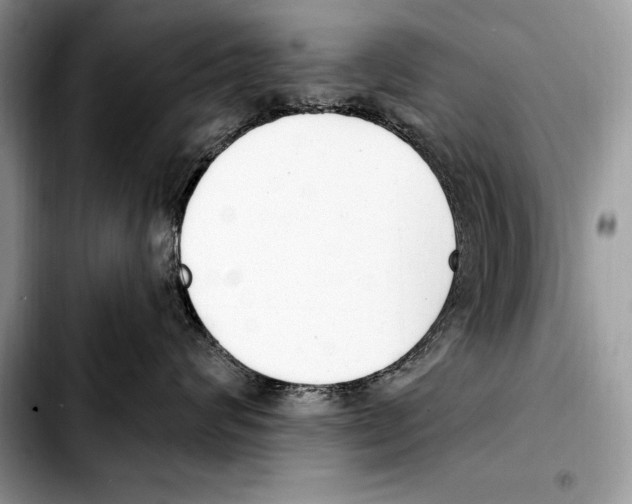 X0000103460624200810101152
