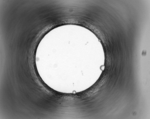 X0000103460625200810101151