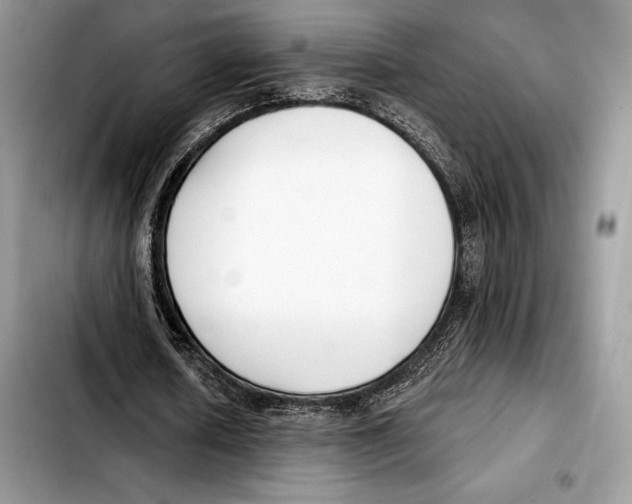 X0000103460626200810101151