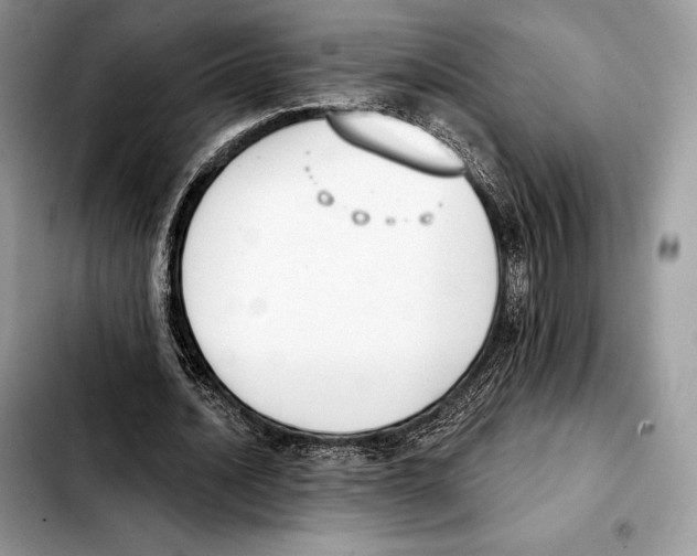 X0000103460628200810101151