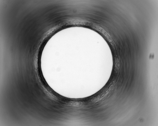 X0000103460629200810101151
