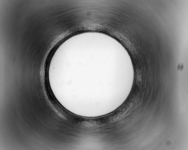 X0000103460630200810101151