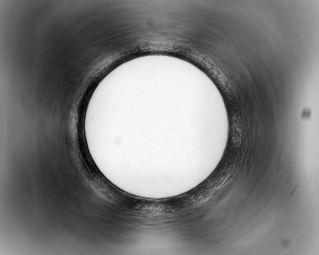 X0000103460631200810101151