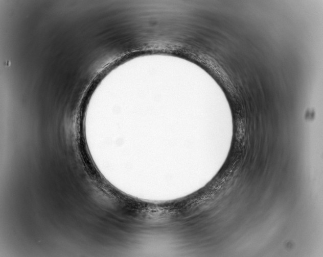 X0000103460632200810101151