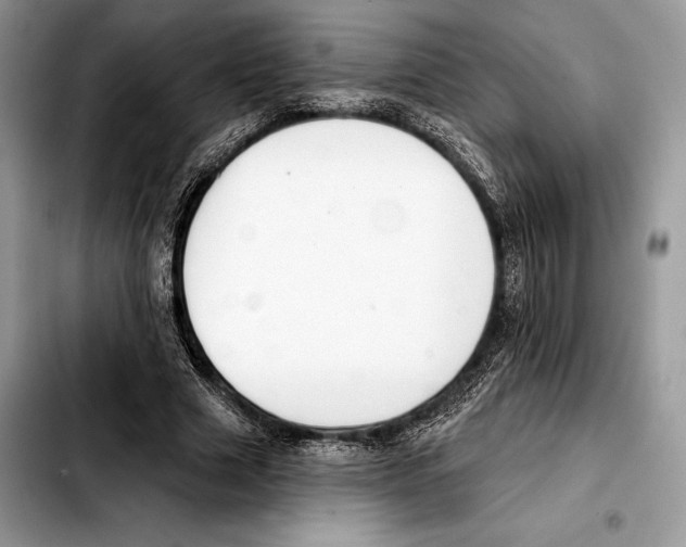 X0000103460633200810101151