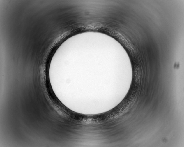 X0000103460634200810101151