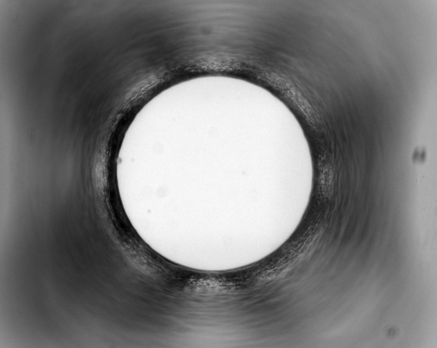 X0000103460635200810101151