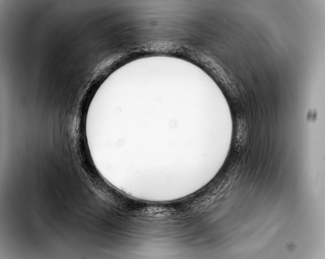 X0000103460636200810101151