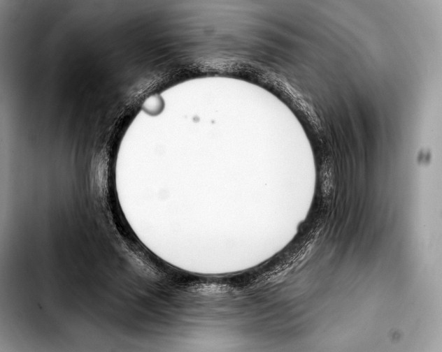 X0000103460637200810101151