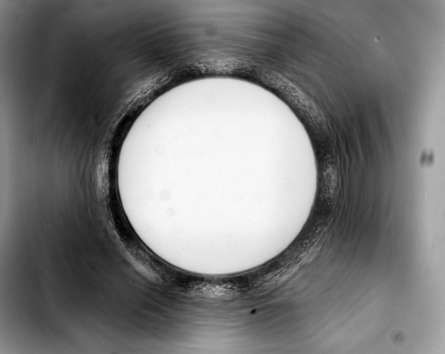X0000103460638200810101151