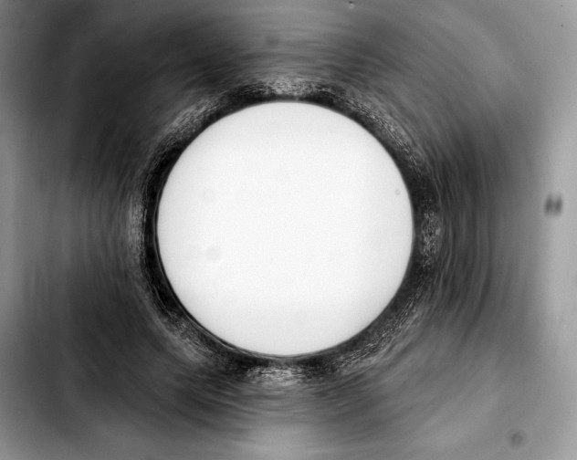 X0000103460639200810101151