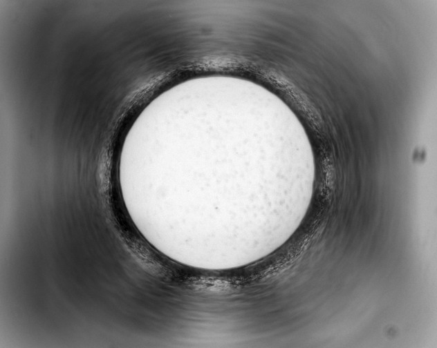 X0000103460640200810101151