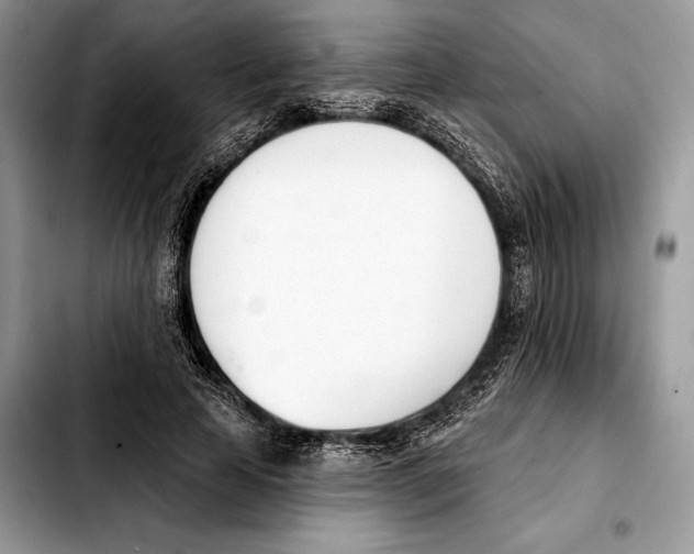 X0000103460641200810101151