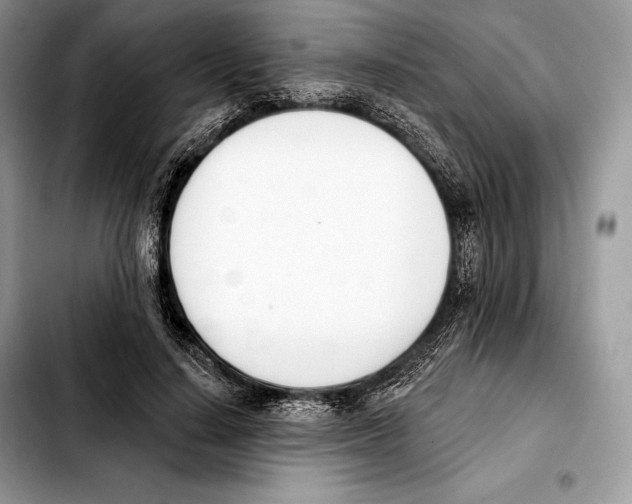 X0000103460644200810101151