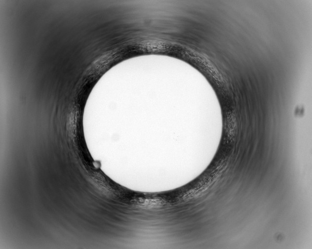 X0000103460645200810101151