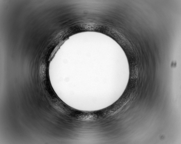 X0000103460646200810101151