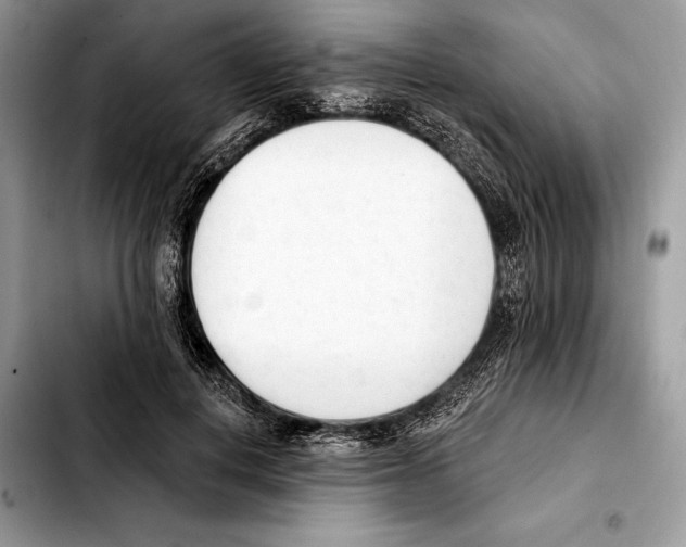 X0000103460648200810101151