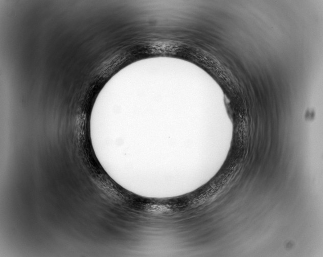 X0000103460649200810101151