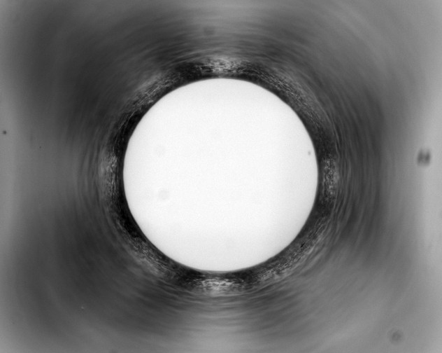 X0000103460650200810101151