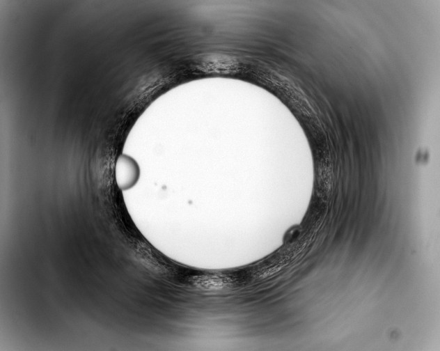 X0000103460652200810101151