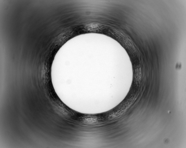 X0000103460653200810101151