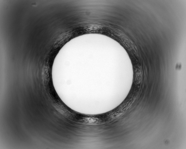 X0000103460654200810101151