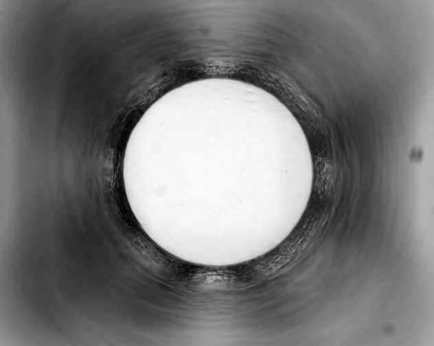 X0000103460655200810101151