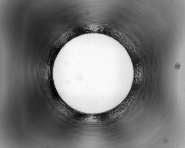 X0000103460656200810101151