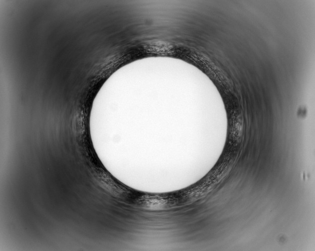 X0000103460658200810101151