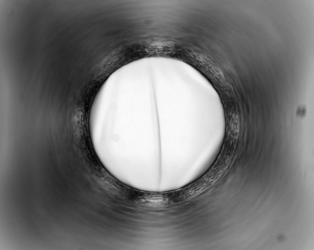X0000103460659200810101151